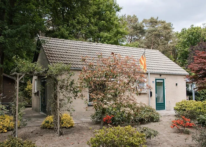 Cozy Forest Cabin, Fenced Garden, Peace & Privacy