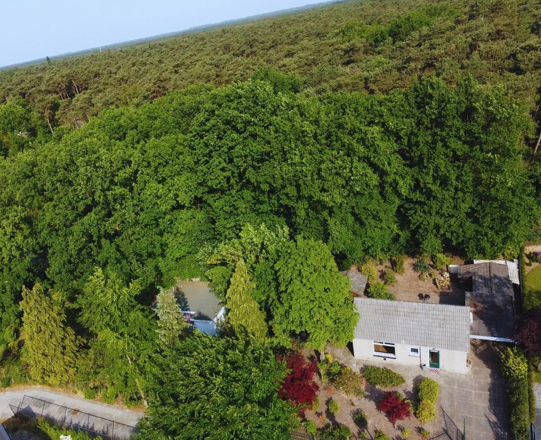 Apartment Cozy Forest Cabin, Fenced Garden, Peace & Privacy *