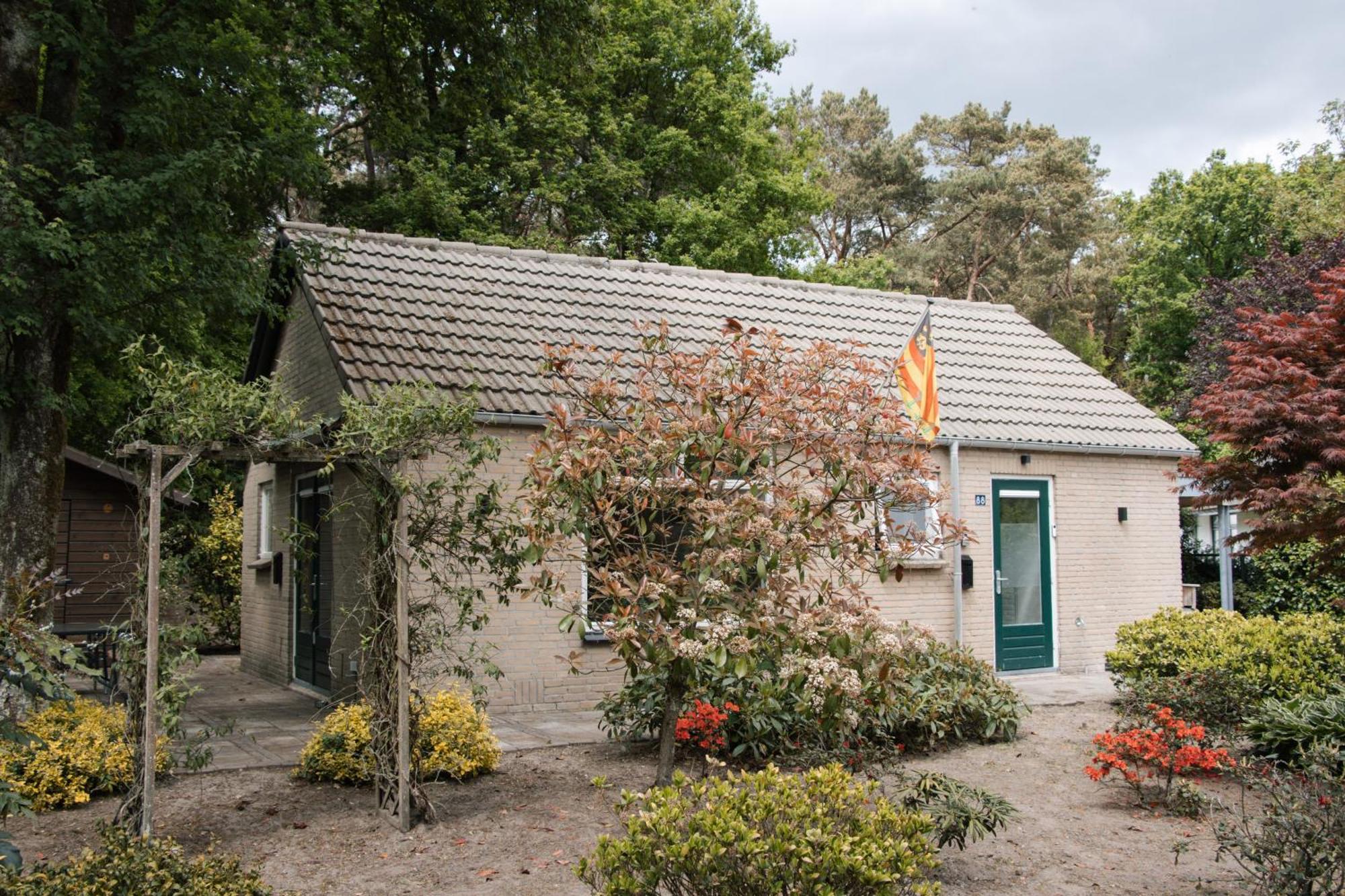 Apartment Cozy Forest Cabin, Fenced Garden, Peace & Privacy Luyksgestel