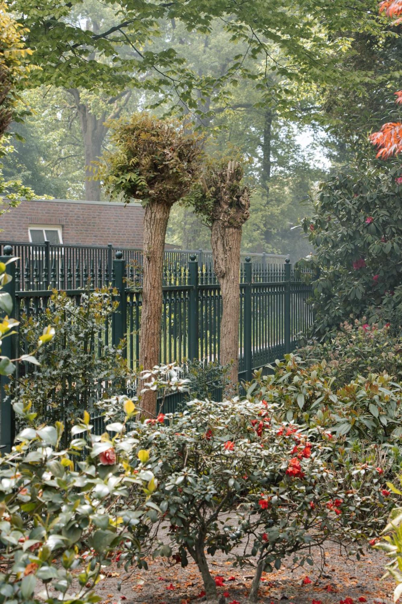 Cozy Forest Cabin, Fenced Garden, Peace & Privacy Apartment *