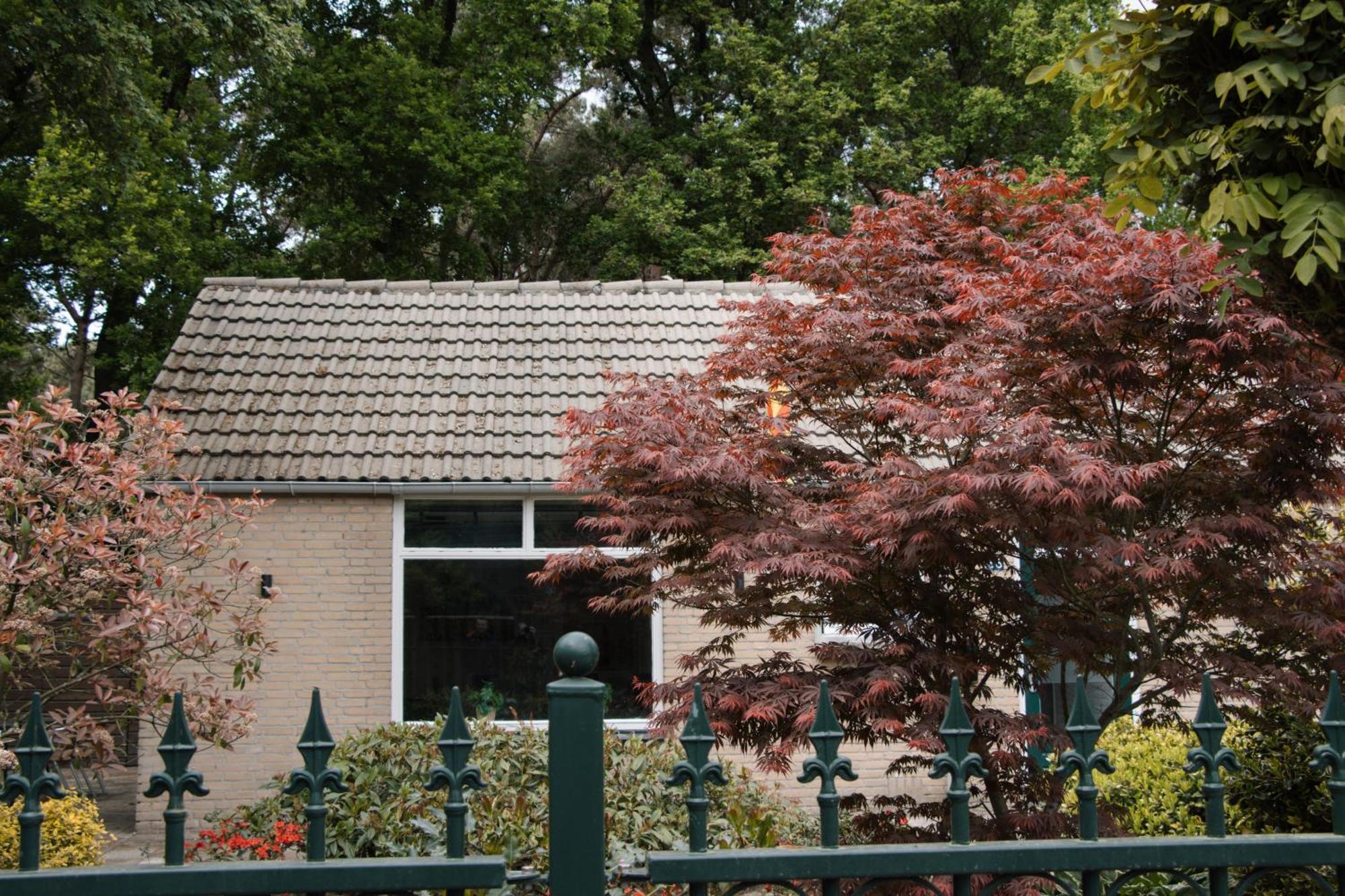 Cozy Forest Cabin, Fenced Garden, Peace & Privacy Apartment