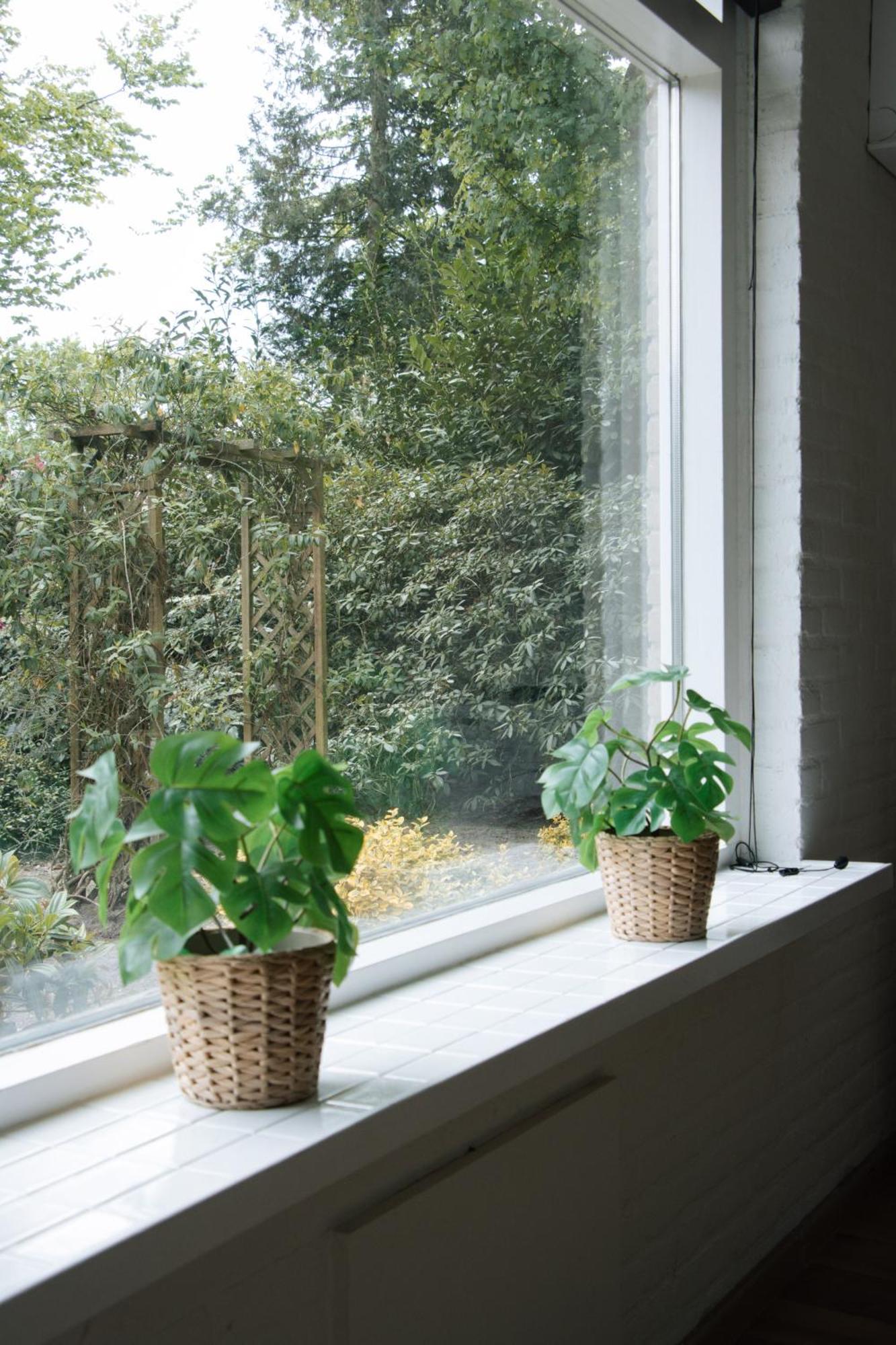 Cozy Forest Cabin, Fenced Garden, Peace & Privacy Luyksgestel